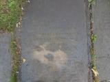 image of grave number 764139